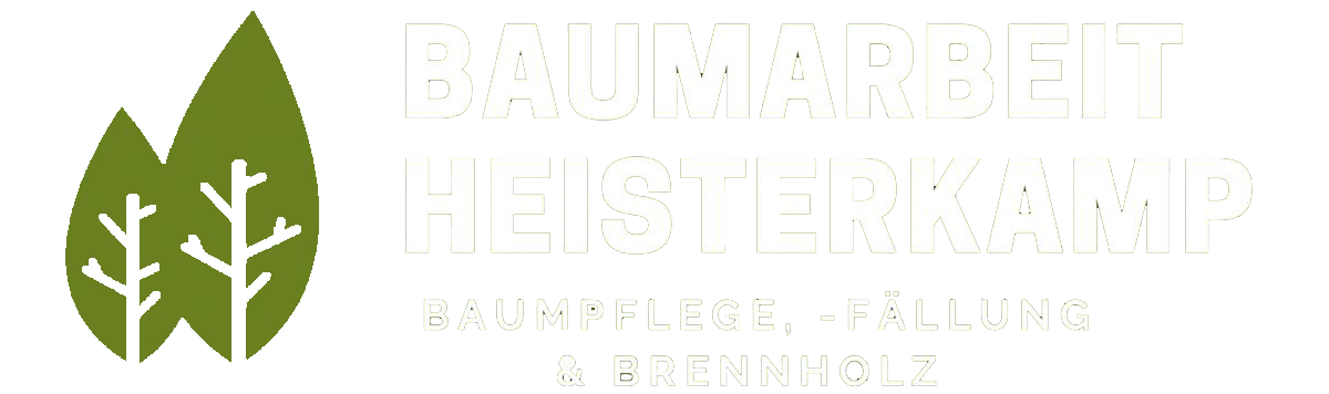 Baumarbeit Heisterkamp